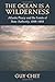 The Ocean Is a Wilderness: Atlantic Piracy and the Limits of State Authority, 1688-1856 by Guy Chet (2014-06-30)