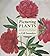Picturing Plants by SAUNDER...