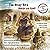 The Honey Bird: An authentic Masai story in English and KiSwahili (Volume 4) by David Read (2012-05-30)