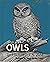 Owls