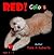 Red! Colors