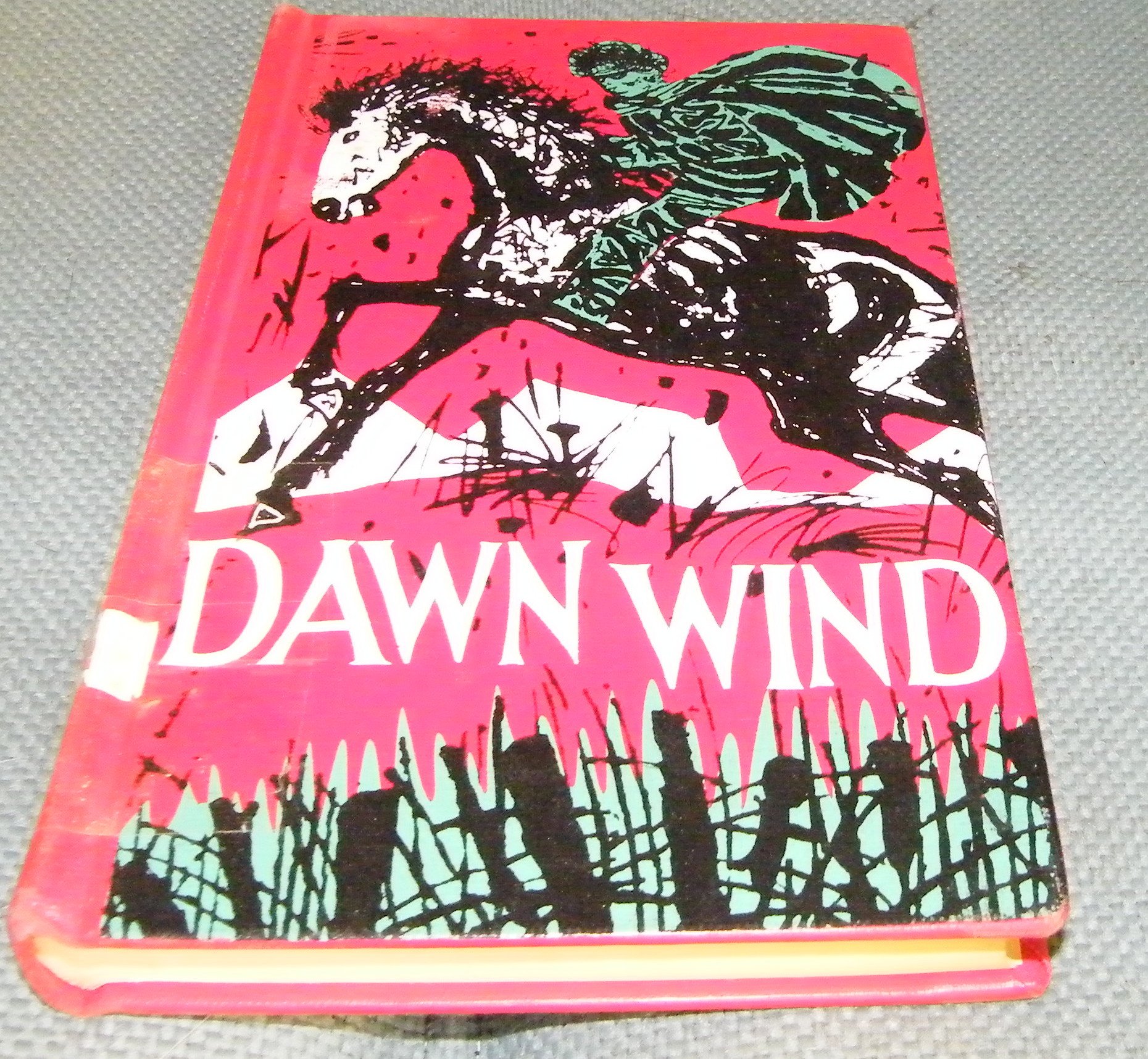 Dawn Wind Hardcover