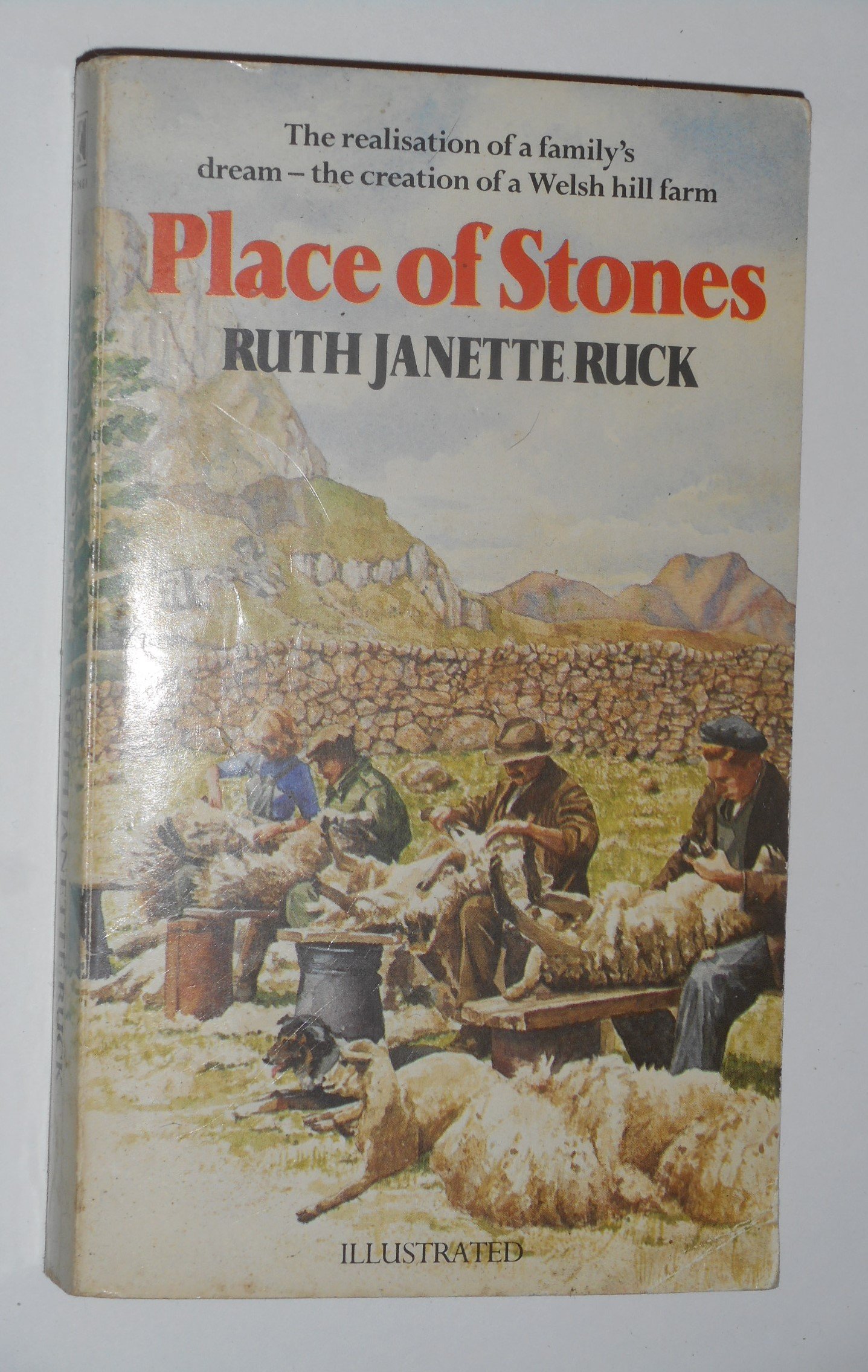 Place Of Stones (Paperback)