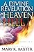 A Divine Revelation of Heav...