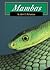 Mambas (Snakes)