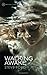 Walking Awake by Ford, Steve (May 5, 2014) Paperback