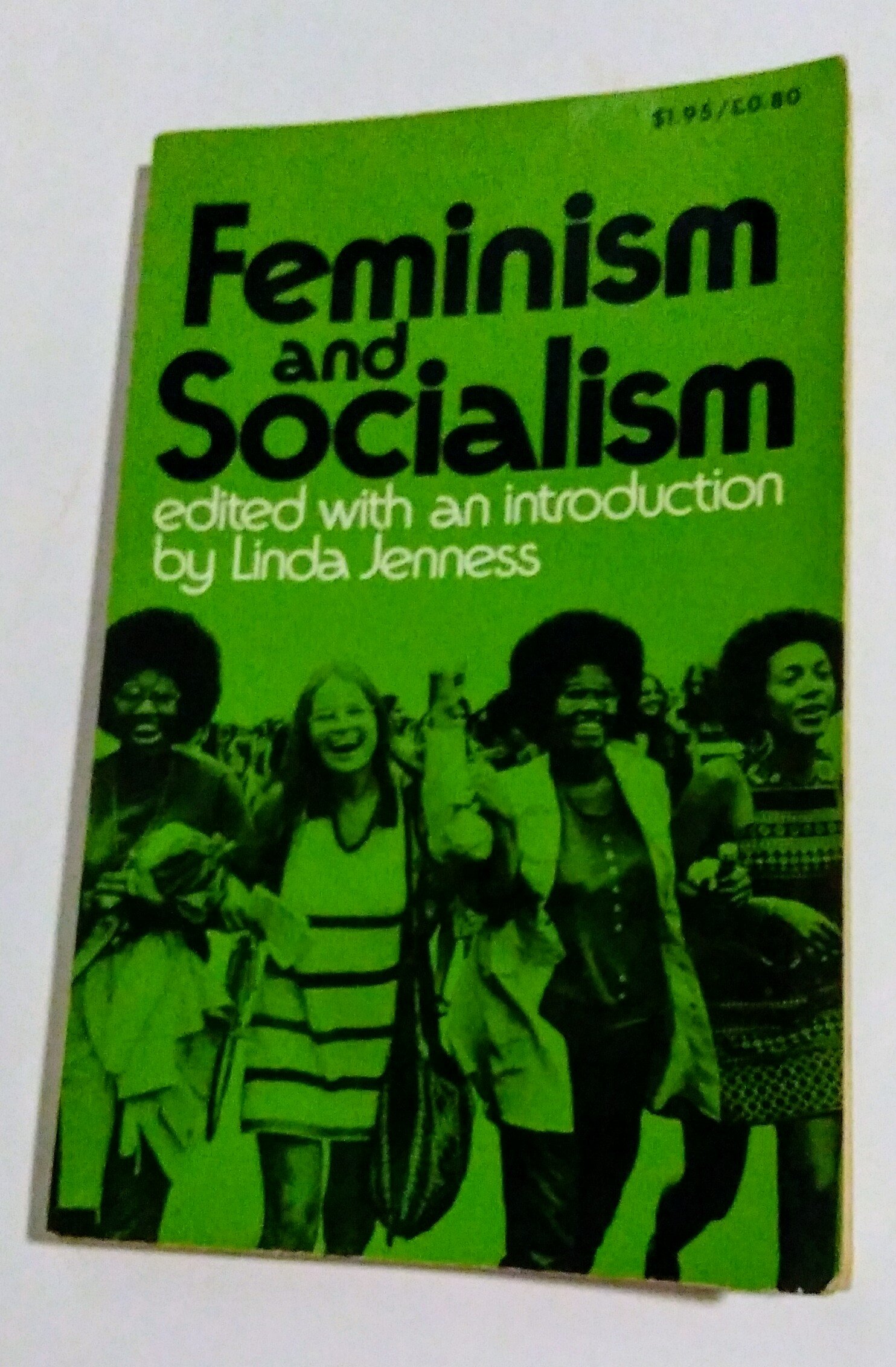 Feminism and Socialism (Hardcover)