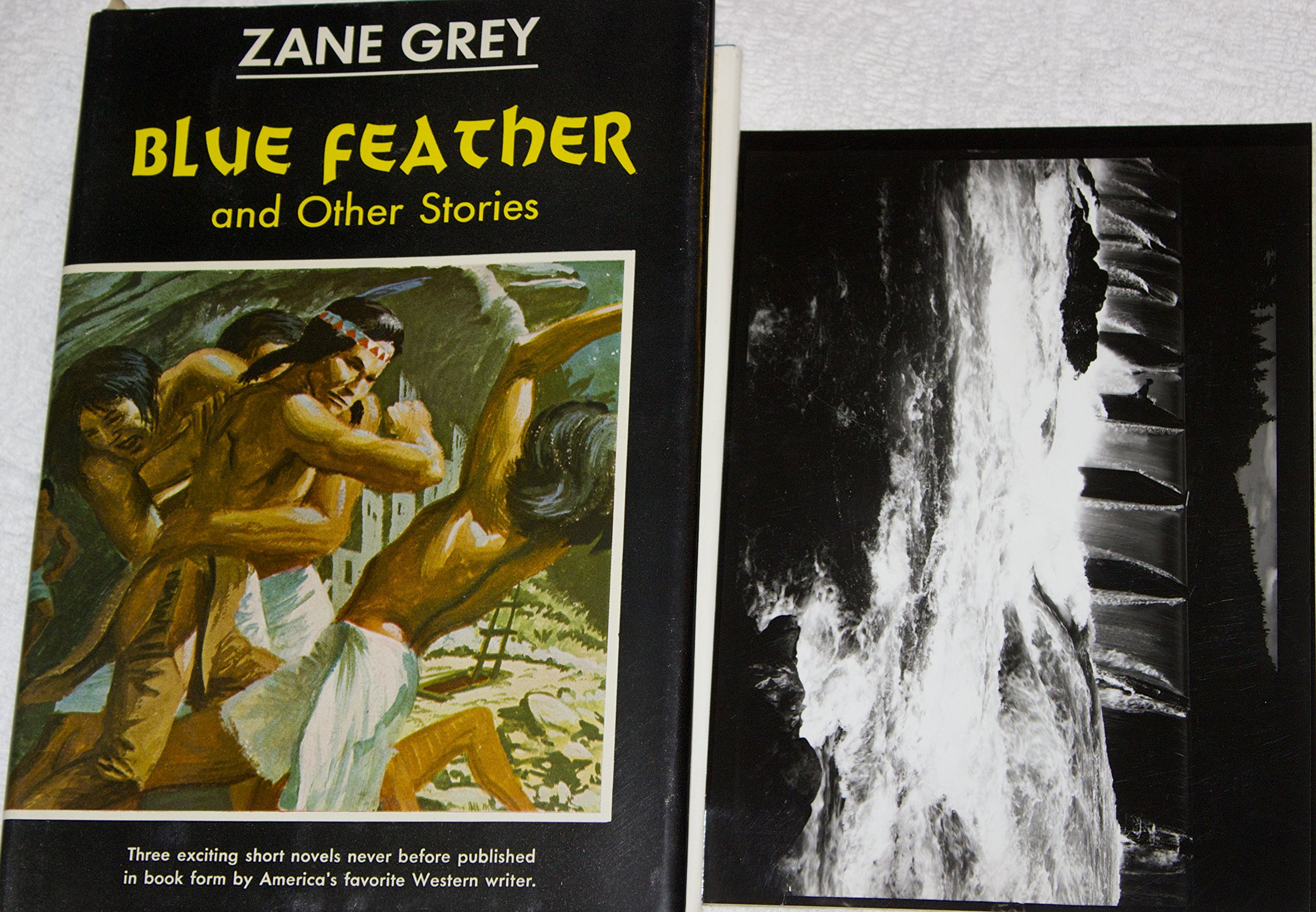 Blue Feather and Other Stories (Paperback)