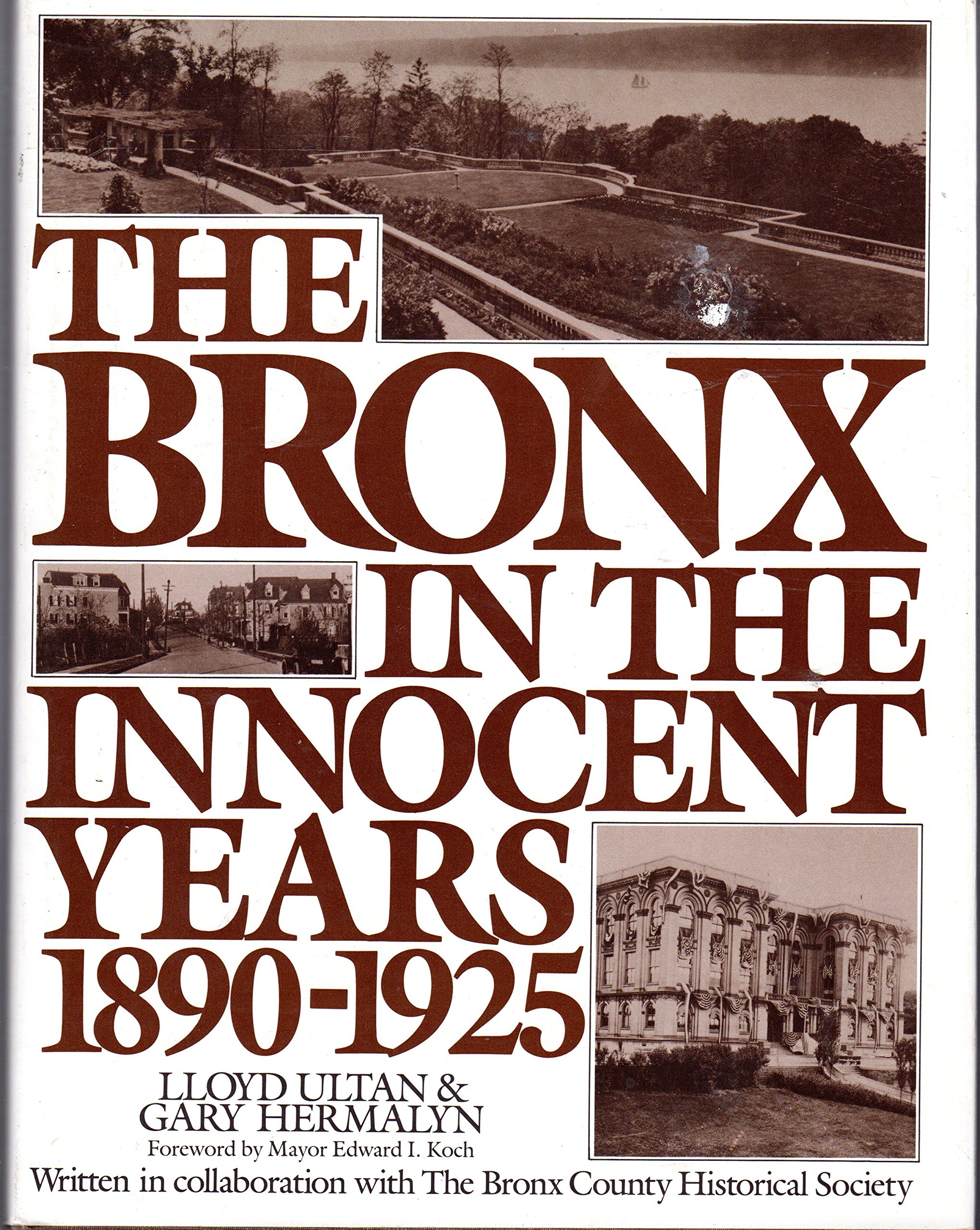 The Bronx in the Innocent Years 1890-1925 (Hardcover)