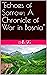 "Echoes of Sorrow: A Chronicle of War in Bosnia"