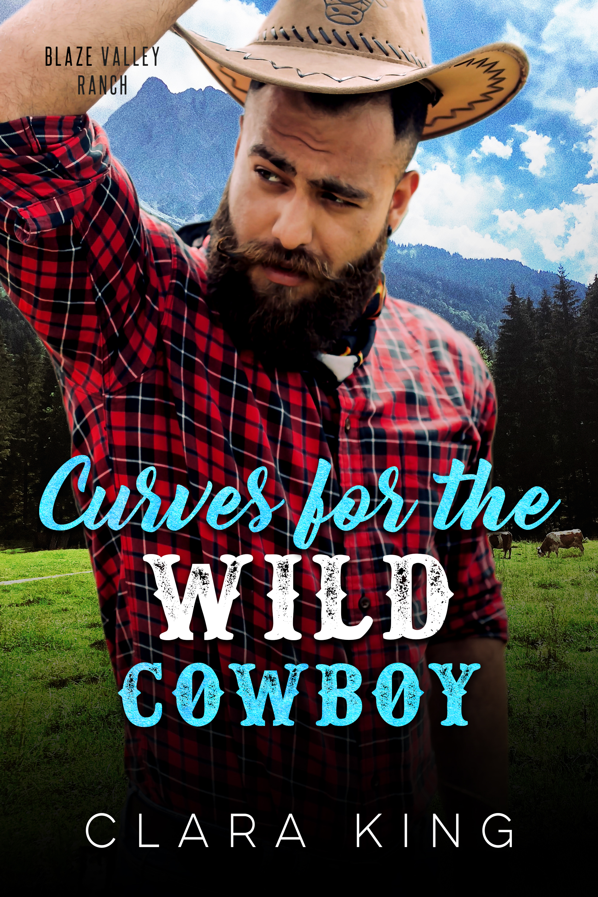 Curves for the Wild Cowboy (Crave County: Blaze Valley Ranch, #4)