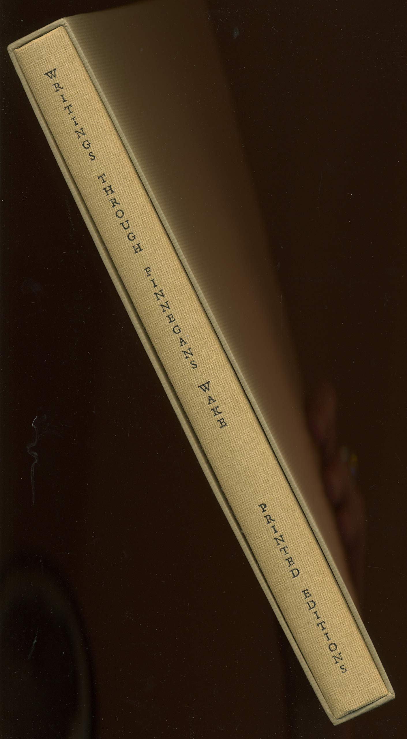 Writings Through Finnegans Wake & Writings for the Second Time Through Finnegans Wake (Hardcover)