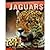 Jaguars