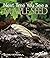 Next Time You See a Maple Seed (Library binding) - PB329X6L Hardcover September 30, 2014