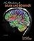 [(An Introduction to Brain and Behavior)] [Author: University Bryan Kolb] published on (November, 2012)
