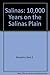 Salinas: 10,000 Years on th...