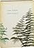 Rare Lorine Niedecker NORTH CENTRAL First Edition one of 100 copies 1968 1st edit/1st print Fulcrum [Hardcover] Lorine Niedecker [Hardcover] Lorine Niedecker