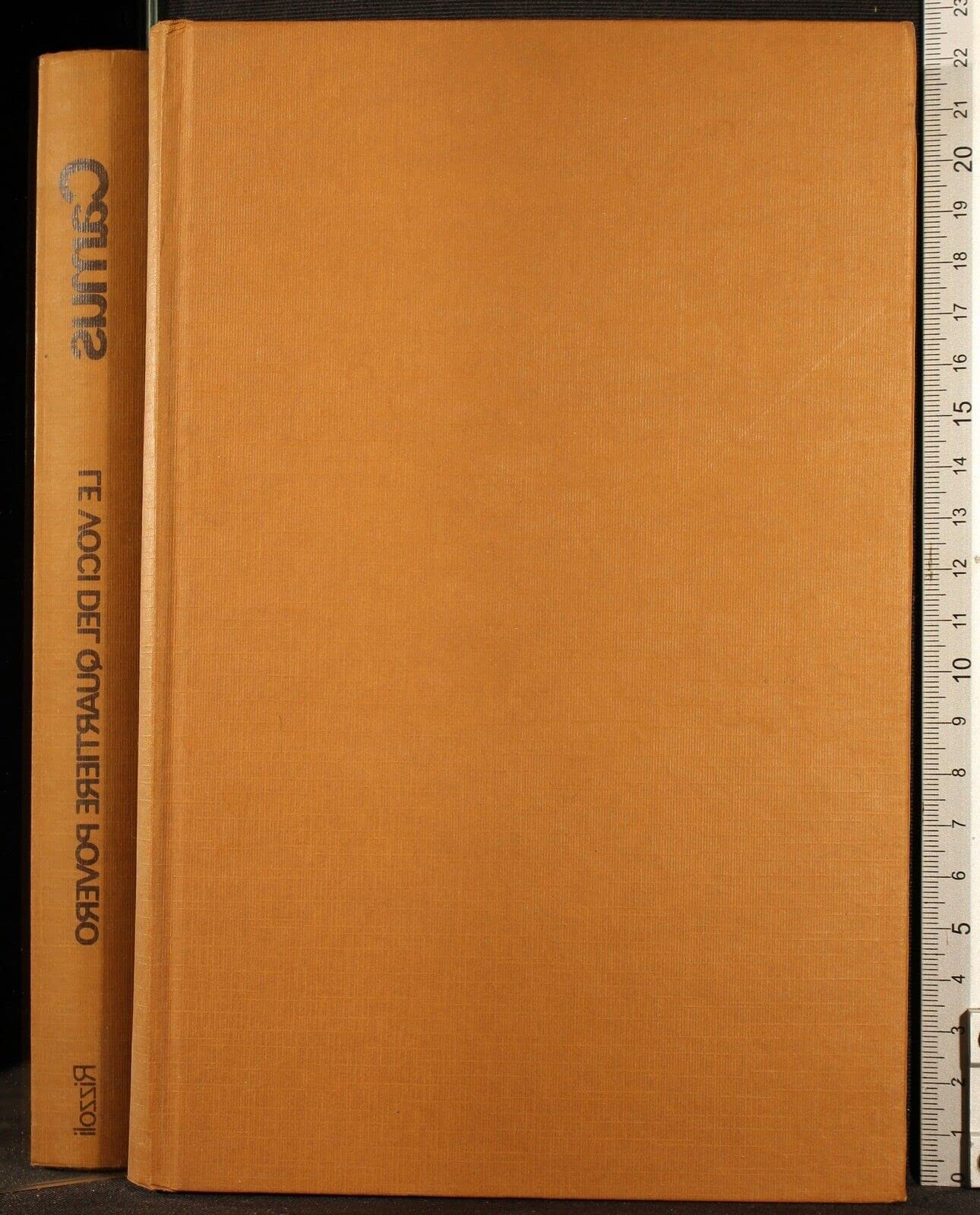 Le voci del quartiere povero, e altri scritti giovanili (Hardcover)
