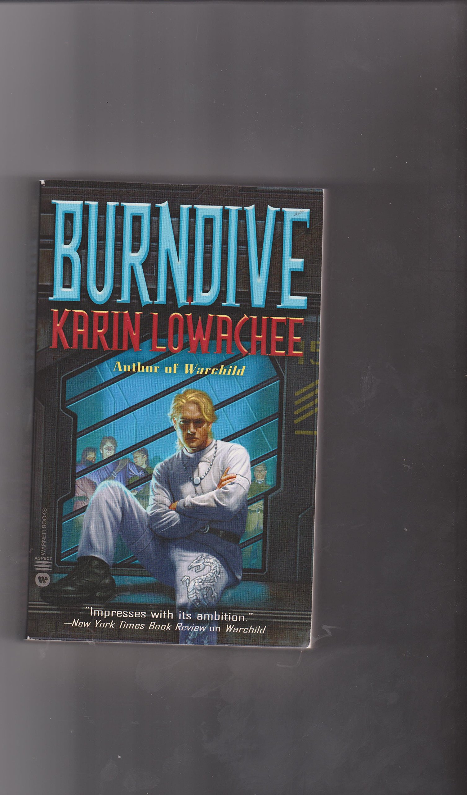 Burndive