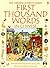 The Usborne Internet-Linked First Thousand Words in Chinese (Chinese Edition) by Amery, Heather (January 1, 2007) Hardcover