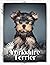 Yorkshire Terrier: Dog bree...