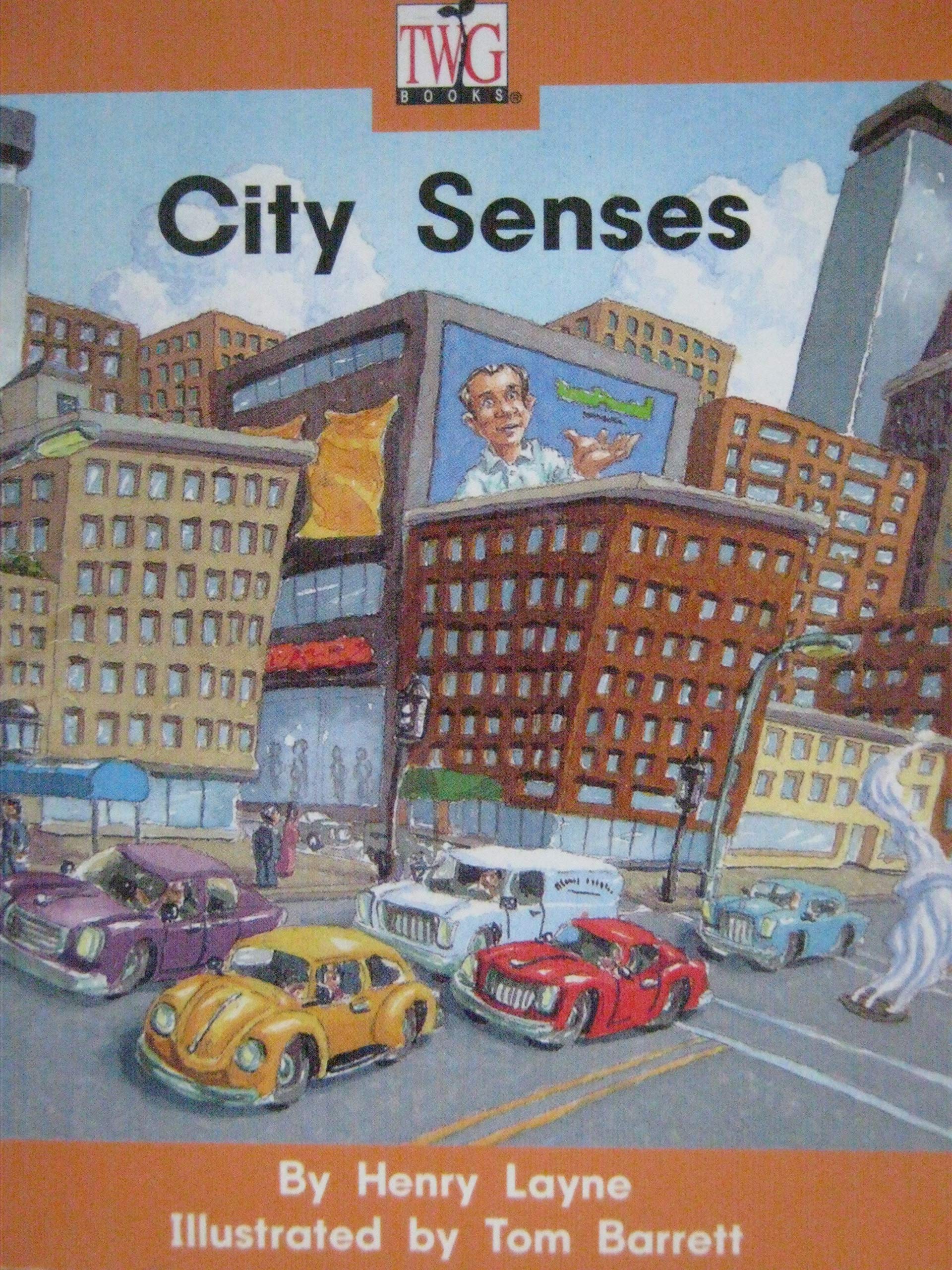 City Senses (Paperback)
