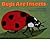 Bugs are Insects (Let's-Read-And-Find-Out Science: Stage 1 (Paperback)) (Paperback) - Common