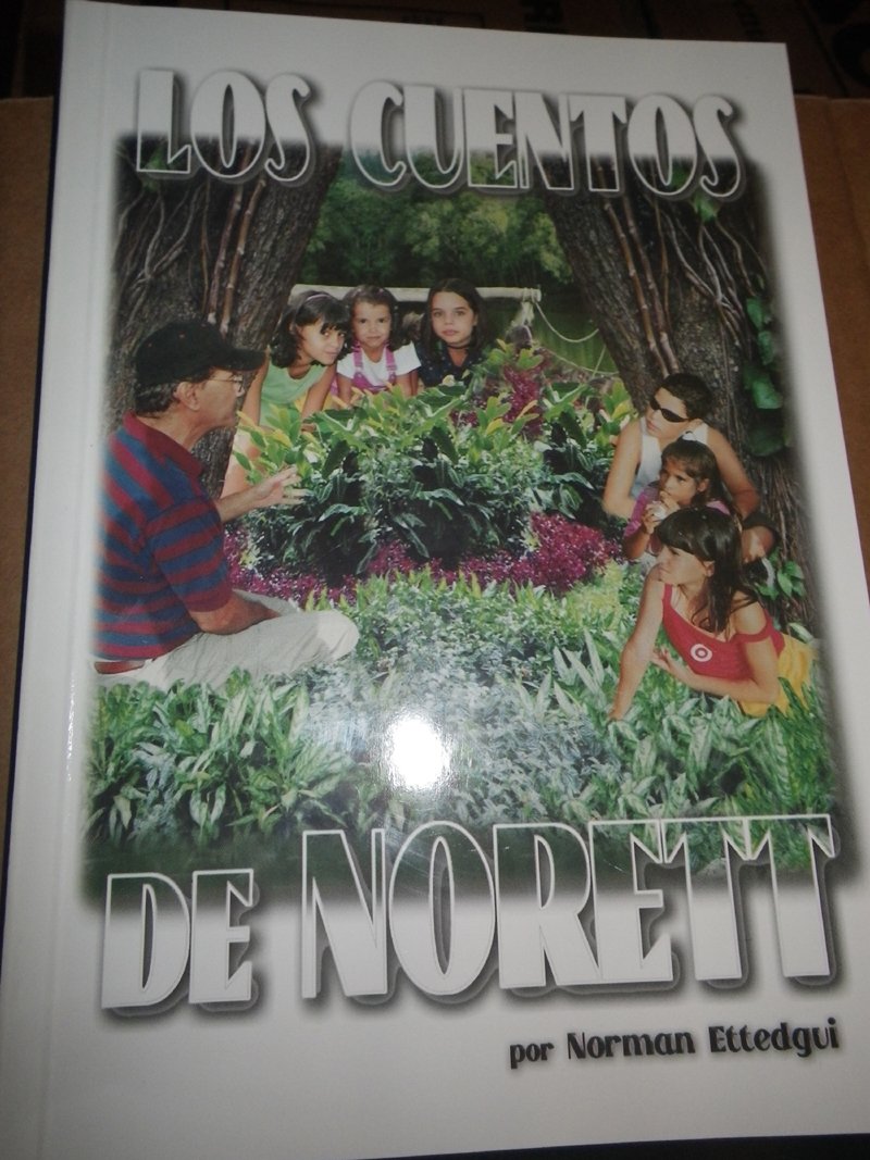 Los Cuentos De Norett (Paperback)