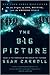 The Big Picture: On the Origins of Life, Meaning, and the Universe Itself by Sean Carroll May (Textbook ONLY, Hardcover)