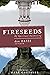 Fireseeds of Spiritual Awakening by Dan Hayes published by Campus Crusade for Christ (1995) [Paperback]