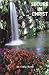 Secure in Christ by Cathy Burns (1998-06-04)