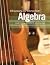 Elementary and Intermediate Algebra: Functions & Authentic Applications 1st (first) edition