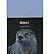 OTTER BY (ALLEN, DANIEL) PAPERBACK