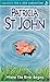 Where the River Begins (Classics for a New Generation) by St John, Patricia (2007) Paperback