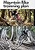 Mountain Bike training plan