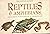 Reptiles & Amphibians (Little Guides)