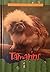 Tamarins (Animals of the Rain Forest)
