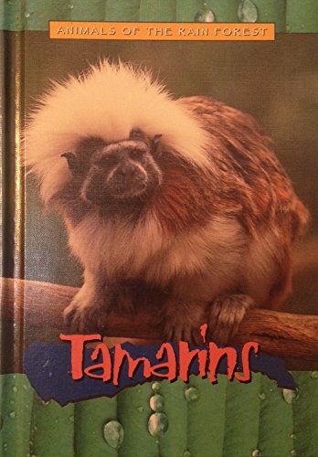 Tamarins (Animals of the Rain Forest)