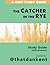 The Catcher in the Rye Study Guide: With Answers (Kent Study Guides) (Volume 3) [2/28/2017] Daniel Kent