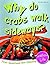Seashore Life: Why Do Crabs Walk Sideways? (First Questions and Answers) by Claybourne, Anne (2012) Paperback