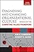 Diagnosing and Changing Organizational Culture: Based on the Competing Values Framework (Jossey-Bass Business & Management) Revised edition by Cameron, Kim S., Quinn, Robert E. (2005) Paperback