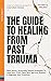 The Guide To Healing From P...