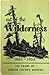 Out of the Wilderness: An Account of Events in Greene County, Ohio