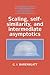 Scaling, Self-similarity, and Intermediate Asymptotics: Dimensional Analysis and Intermediate Asymptotics (Cambridge Texts in Applied Mathematics) by Grigory Isaakovich Barenblatt (1996-12-28)