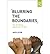 Blurring the Boundaries: The Declining Significance of Age (Paperback) - Common