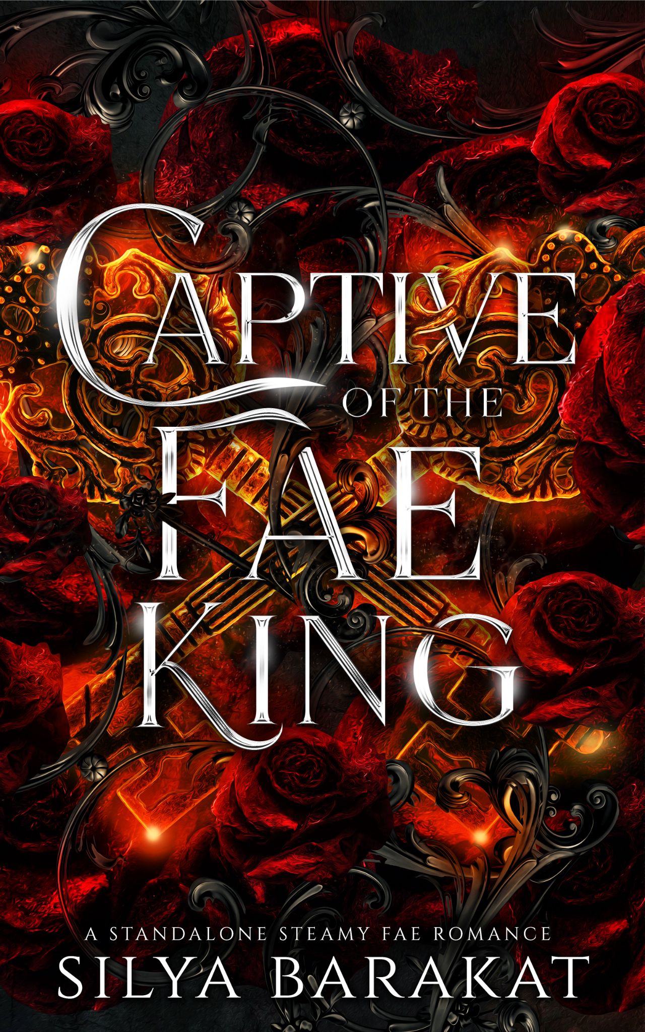 Captive of the Fae King (Paperback)