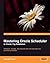 Mastering Oracle Scheduler in Oracle 11g Databases by Ronald Rood (2009-06-15)