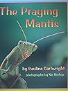 The Praying Mantis The Praying Mantis