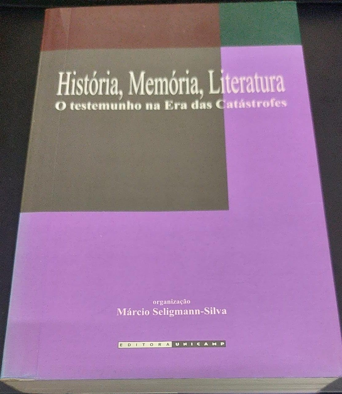 Historia, Memoria, Literatura: O Testemunho Na Era Das Catastrofes (Hardcover)