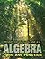 Algebra: Form and Function by McCallum, William G. Published by Wiley 1st (first) edition (2009) Paperback